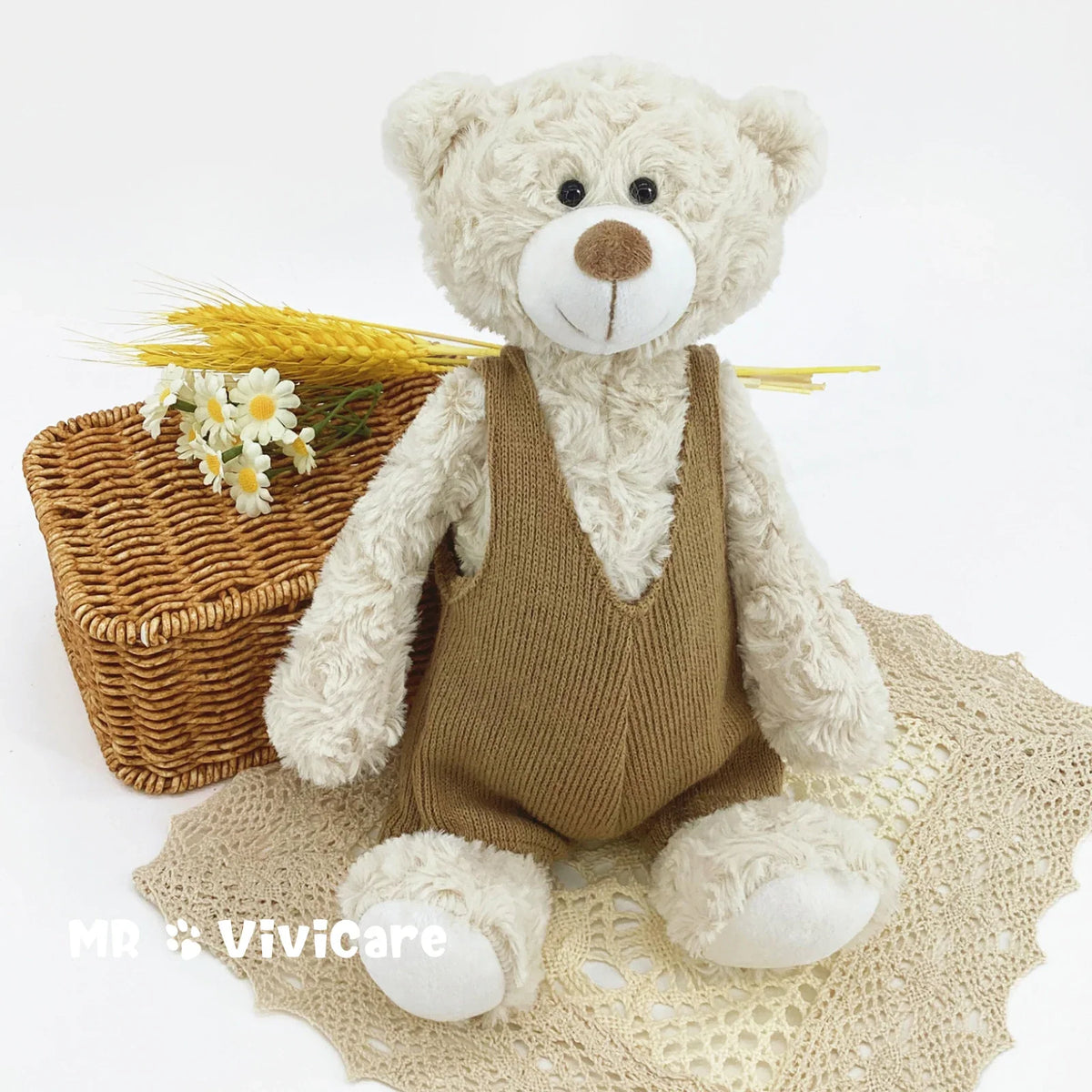Mr. Vivicare Bear-4