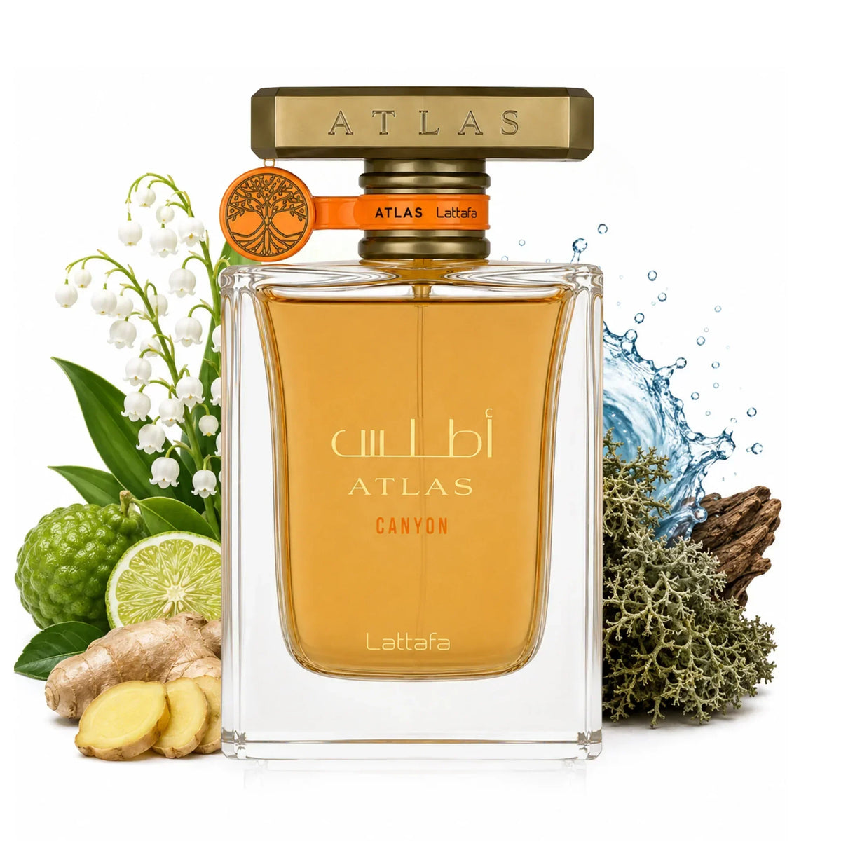 Lattafa Atlas Canyon Eau de Parfum